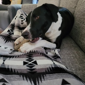 Fundraising Page: Jennifer Linebaugh